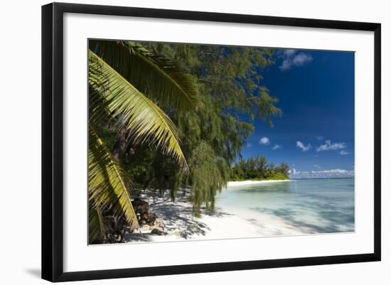 Denis Island, Seychelles, Indian Ocean, Africa-Sergio-Framed Photographic Print