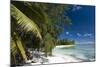 Denis Island, Seychelles, Indian Ocean, Africa-Sergio-Mounted Photographic Print