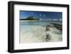 Denis Island, Seychelles, Indian Ocean, Africa-Sergio Pitamitz-Framed Photographic Print