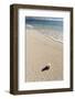 Denis Island, Seychelles, Indian Ocean, Africa-Sergio Pitamitz-Framed Photographic Print