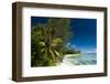Denis Island, Seychelles, Indian Ocean, Africa-Sergio-Framed Photographic Print