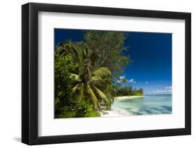 Denis Island, Seychelles, Indian Ocean, Africa-Sergio-Framed Photographic Print