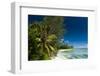 Denis Island, Seychelles, Indian Ocean, Africa-Sergio-Framed Photographic Print