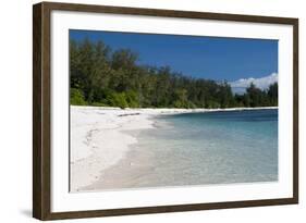 Denis Island, Seychelles-Sergio Pitamitz-Framed Photographic Print