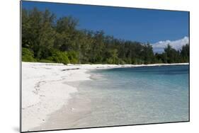 Denis Island, Seychelles-Sergio Pitamitz-Mounted Photographic Print