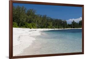 Denis Island, Seychelles-Sergio Pitamitz-Framed Photographic Print