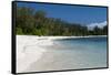 Denis Island, Seychelles-Sergio Pitamitz-Framed Stretched Canvas