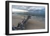 Denis Island, Seychelles-Sergio Pitamitz-Framed Photographic Print