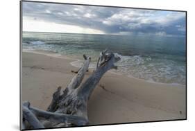 Denis Island, Seychelles-Sergio Pitamitz-Mounted Photographic Print