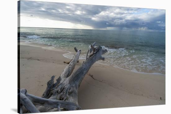 Denis Island, Seychelles-Sergio Pitamitz-Stretched Canvas