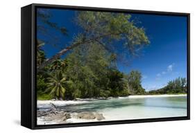 Denis Island, Seychelles-Sergio Pitamitz-Framed Stretched Canvas