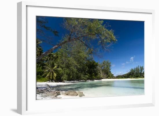 Denis Island, Seychelles-Sergio Pitamitz-Framed Photographic Print