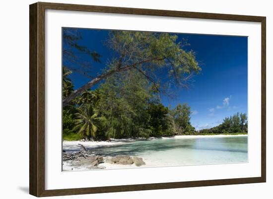 Denis Island, Seychelles-Sergio Pitamitz-Framed Photographic Print