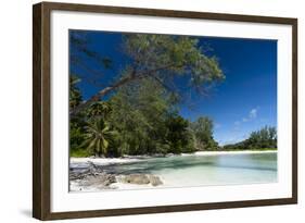 Denis Island, Seychelles-Sergio Pitamitz-Framed Photographic Print