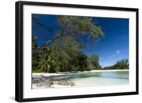 Denis Island, Seychelles-Sergio Pitamitz-Framed Photographic Print