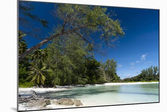 Denis Island, Seychelles-Sergio Pitamitz-Mounted Photographic Print