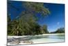 Denis Island, Seychelles-Sergio Pitamitz-Mounted Photographic Print