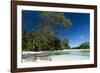 Denis Island, Seychelles-Sergio Pitamitz-Framed Photographic Print