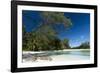 Denis Island, Seychelles-Sergio Pitamitz-Framed Photographic Print