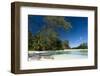 Denis Island, Seychelles-Sergio Pitamitz-Framed Photographic Print