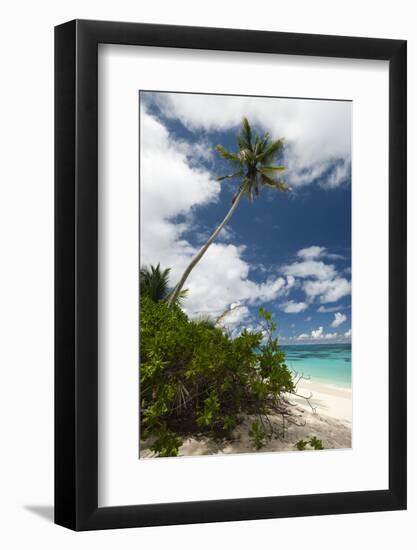 Denis Island, Seychelles-Sergio Pitamitz-Framed Photographic Print