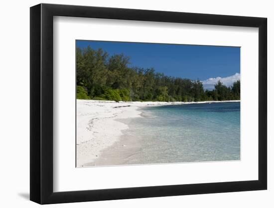 Denis Island, Seychelles-Sergio Pitamitz-Framed Photographic Print