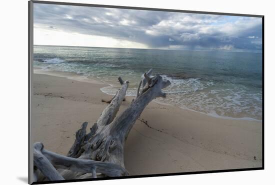 Denis Island, Seychelles-Sergio Pitamitz-Mounted Photographic Print