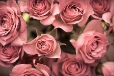 Big Bouquet of Pink Roses Horizontal-Denis Karpenkov-Photographic Print