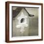 Brown Frame