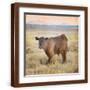 Brown Frame
