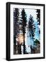 Black Frame
