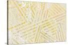 Stretched Canvas