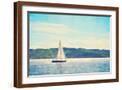 Brown Frame