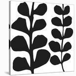 Maidenhair (black on white)-Denise Duplock-Art Print