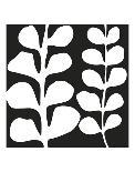 Maidenhair (white on black)-Denise Duplock-Art Print