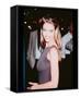 Denise Richards-null-Framed Stretched Canvas