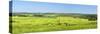 Denmark, Funen, Wheat Fields, Near Horne-Chris Seba-Stretched Canvas