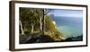 Denmark, Island M¿n, Coastal Wood in the Chalk Rock of M¿ns Klint-Andreas Vitting-Framed Photographic Print