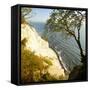 Denmark, Island M¿n, the Chalk Rocks of M¿ns Klint, Tree in the Abbruchkante-Andreas Vitting-Framed Stretched Canvas