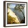 Denmark, Island M¿n, the Chalk Rocks of M¿ns Klint, Tree in the Abbruchkante-Andreas Vitting-Framed Photographic Print