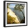 Denmark, Island M¿n, the Chalk Rocks of M¿ns Klint, Tree in the Abbruchkante-Andreas Vitting-Framed Photographic Print