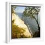 Denmark, Island M¿n, the Chalk Rocks of M¿ns Klint, Tree in the Abbruchkante-Andreas Vitting-Framed Photographic Print