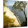 Denmark, Island M¿n, the Chalk Rocks of M¿ns Klint, Tree in the Abbruchkante-Andreas Vitting-Mounted Photographic Print