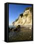 Denmark, Island M¡N, the Chalk Rocks of M¡Ns Klint-Andreas Vitting-Framed Stretched Canvas