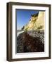 Denmark, Island M¡N, the Chalk Rocks of M¡Ns Klint-Andreas Vitting-Framed Photographic Print