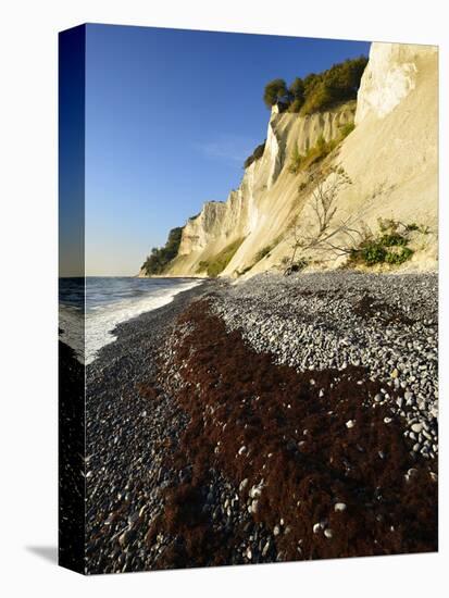 Denmark, Island M¡N, the Chalk Rocks of M¡Ns Klint-Andreas Vitting-Stretched Canvas