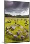 Denmark, Jutland, Aalborg-Lindholm, Lindholm Hoje, Viking Burial Ground-Walter Bibikow-Mounted Photographic Print