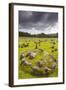 Denmark, Jutland, Aalborg-Lindholm, Lindholm Hoje, Viking Burial Ground-Walter Bibikow-Framed Photographic Print