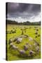 Denmark, Jutland, Aalborg-Lindholm, Lindholm Hoje, Viking Burial Ground-Walter Bibikow-Stretched Canvas