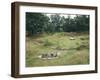 Denmark, Jutland, Bjerrgrav, Hvolris, Celtic Burial Ground with Circular Graves-null-Framed Giclee Print